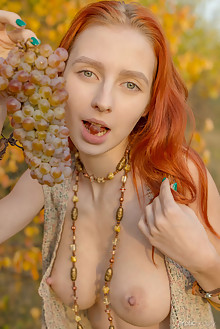 Olivia I in Golden Autumn by Stanislav Borovec outdoor sunny woods redhead blue eyes boobies shaved